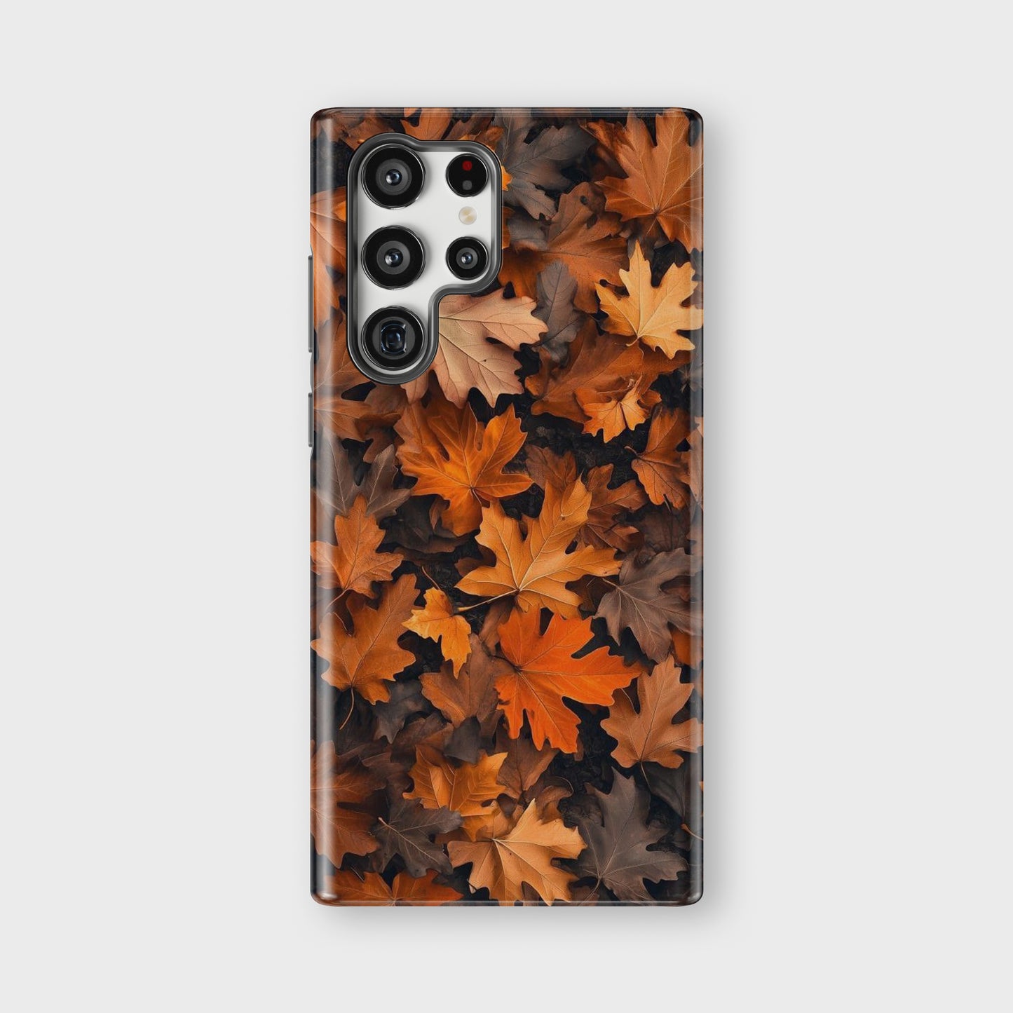 fall leaf