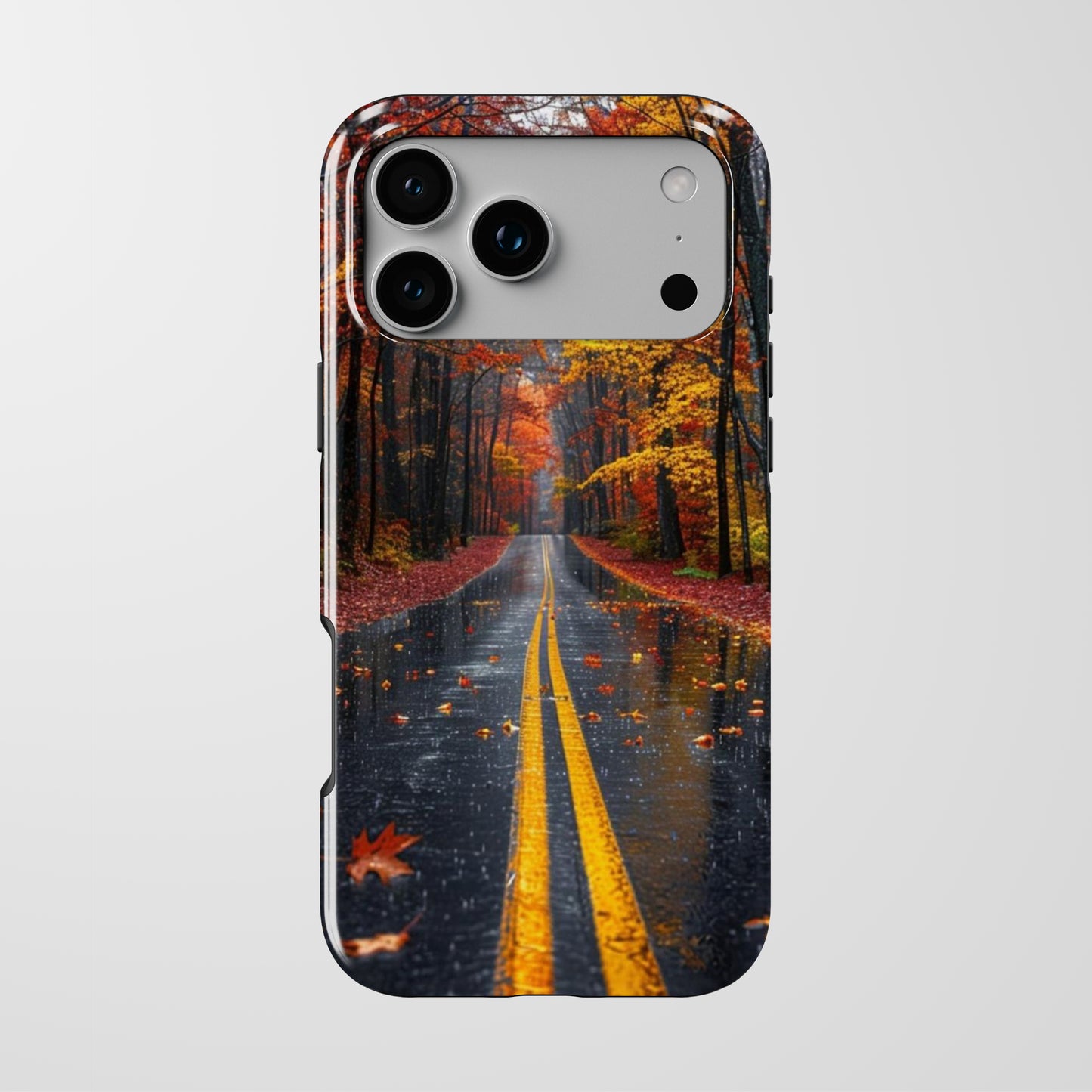 fall road