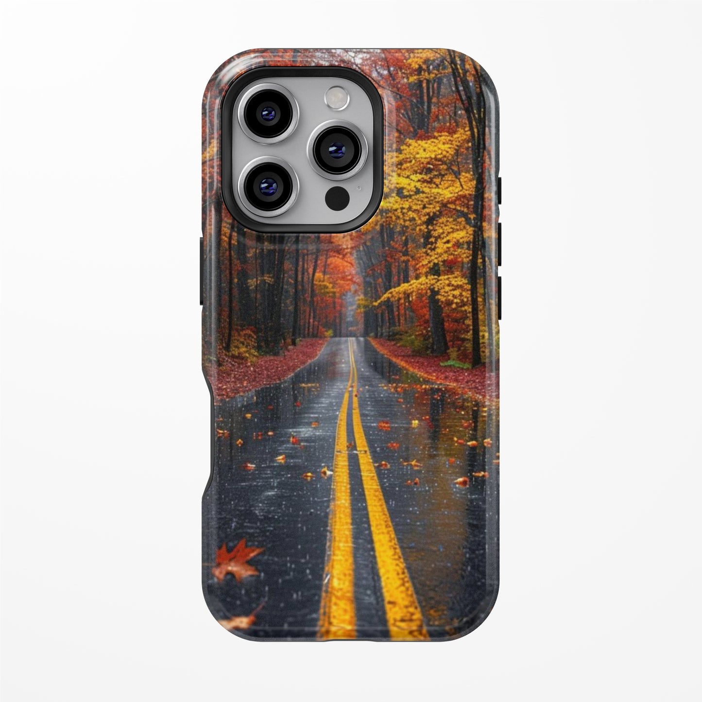 fall road