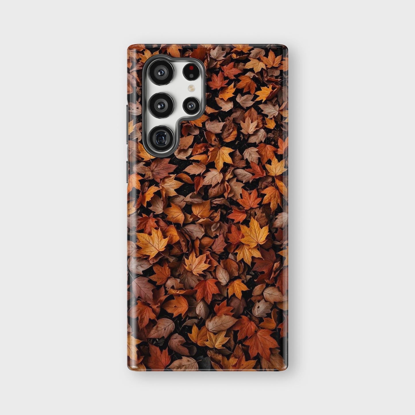 fall leaf