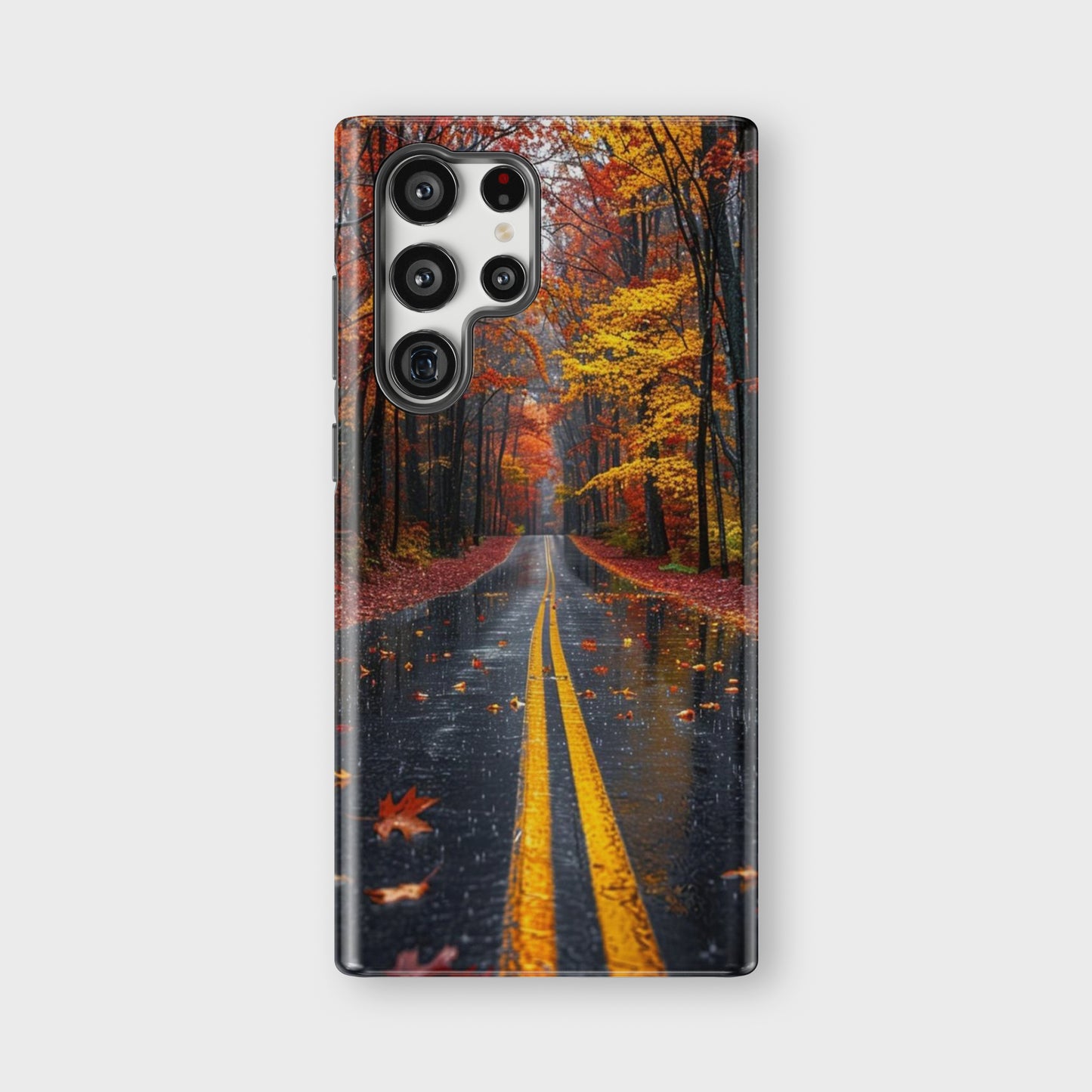fall road