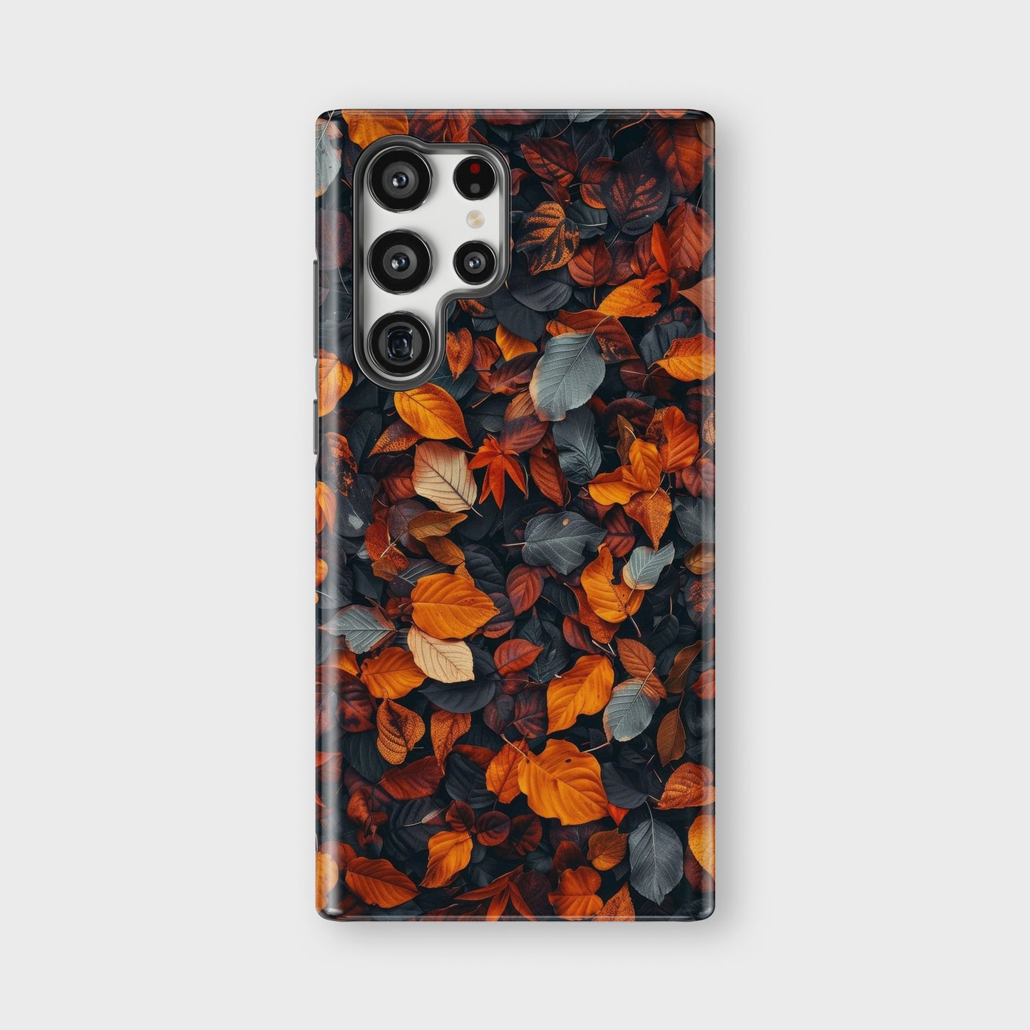 fall leafs